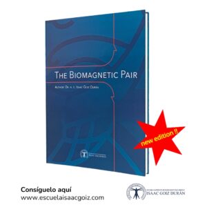 The Biomagnetic Pair